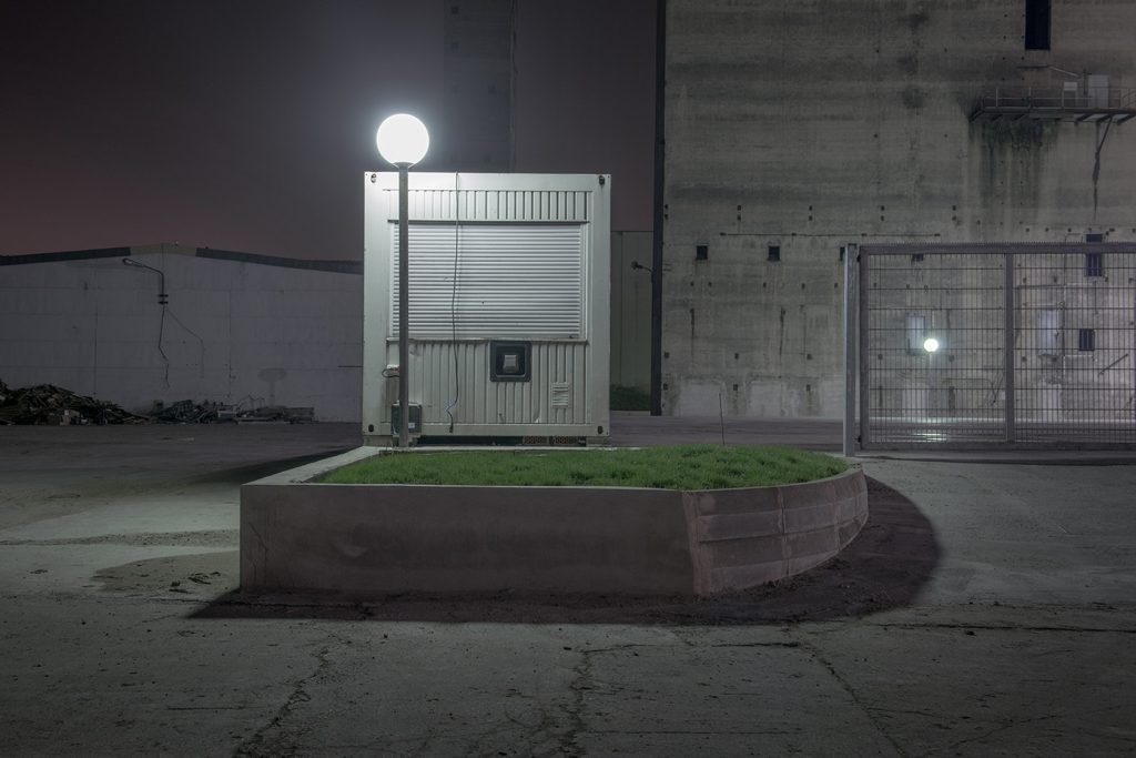 growing-2-image-by-markus-lehr