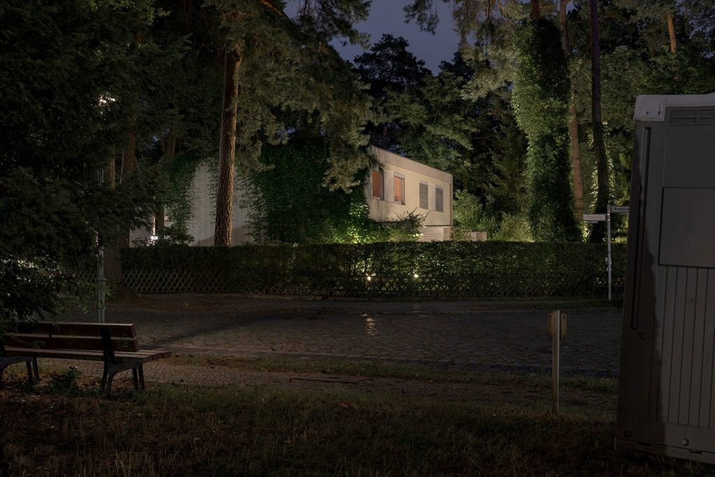 when-night-falls-and-the-trees-begin-to-talk-image-by-markus-lehr