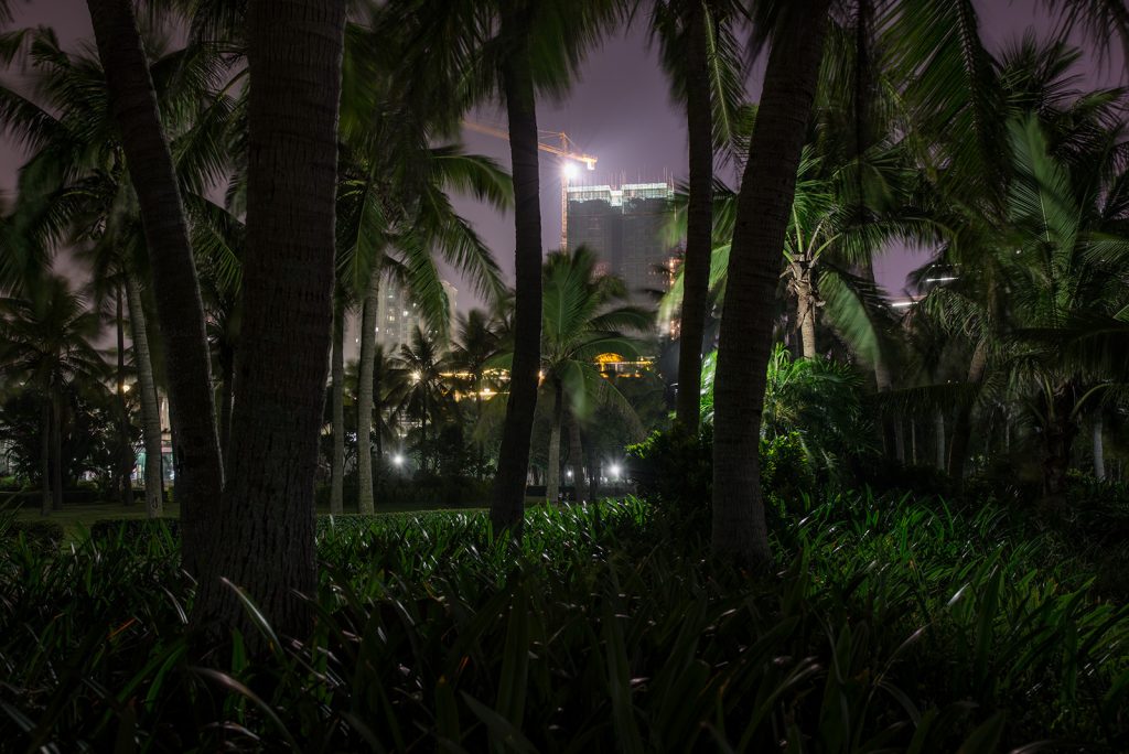 slowly-i-realized-image-by-markus-lehr