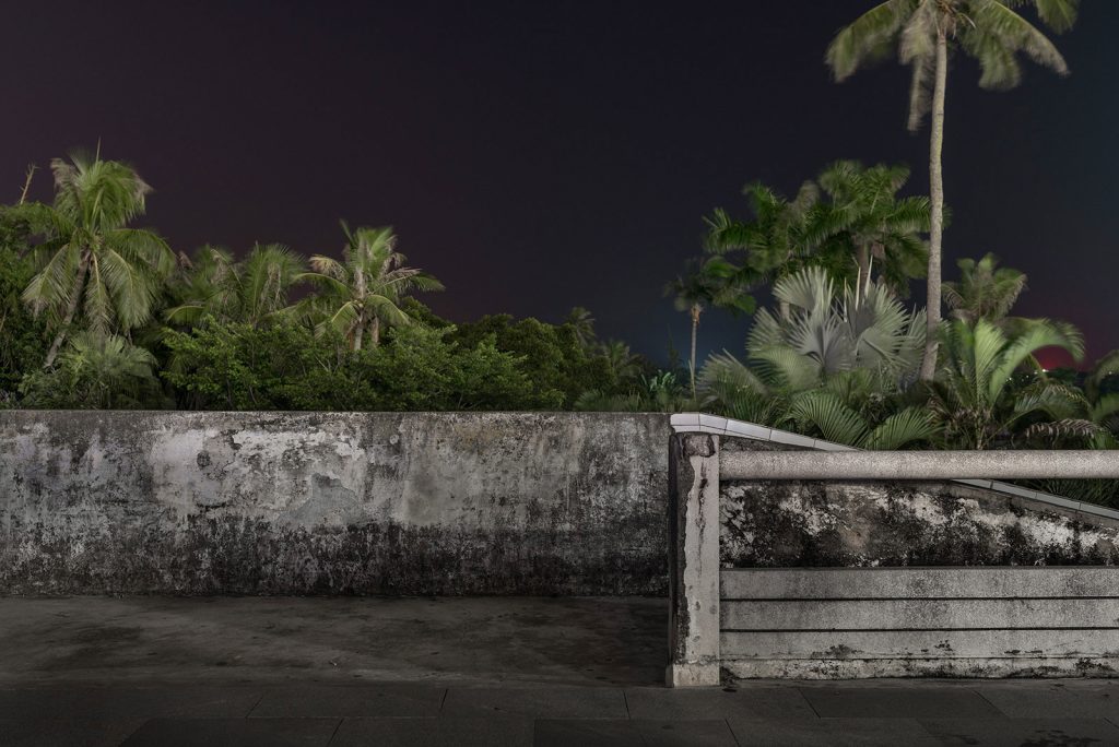 20-seconds-of-palm-trees-image-by-markus-lehr