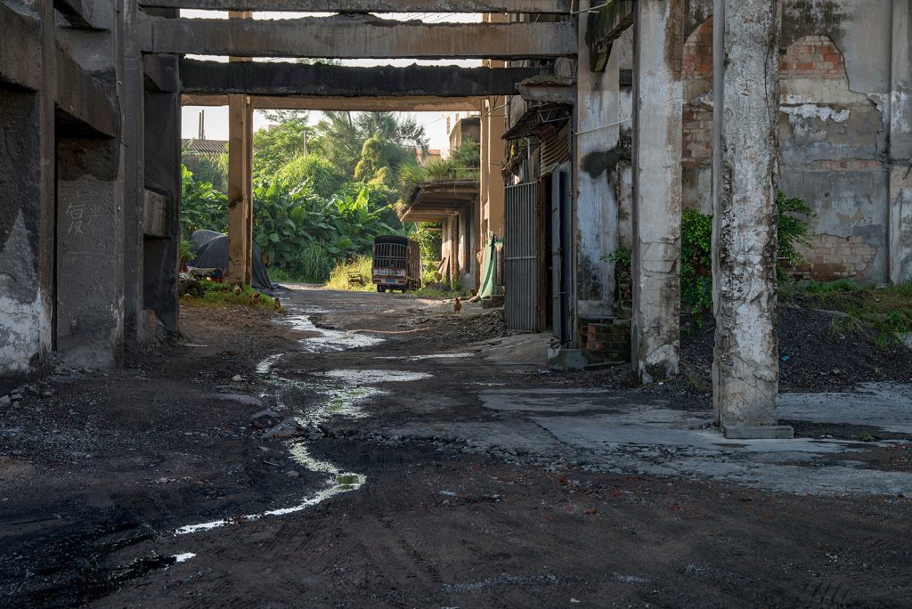 chicken-image-by-markus-lehr