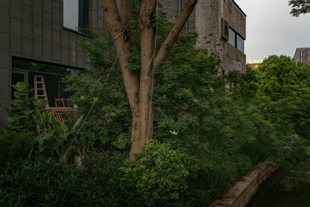 tony-image-by-markus-lehr