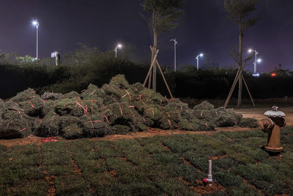 the-grass-is-always-greener-when-it-is-new-by-markus-lehr