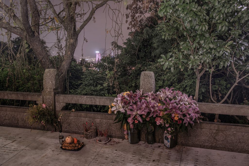 offerings-image-by-markus-lehr