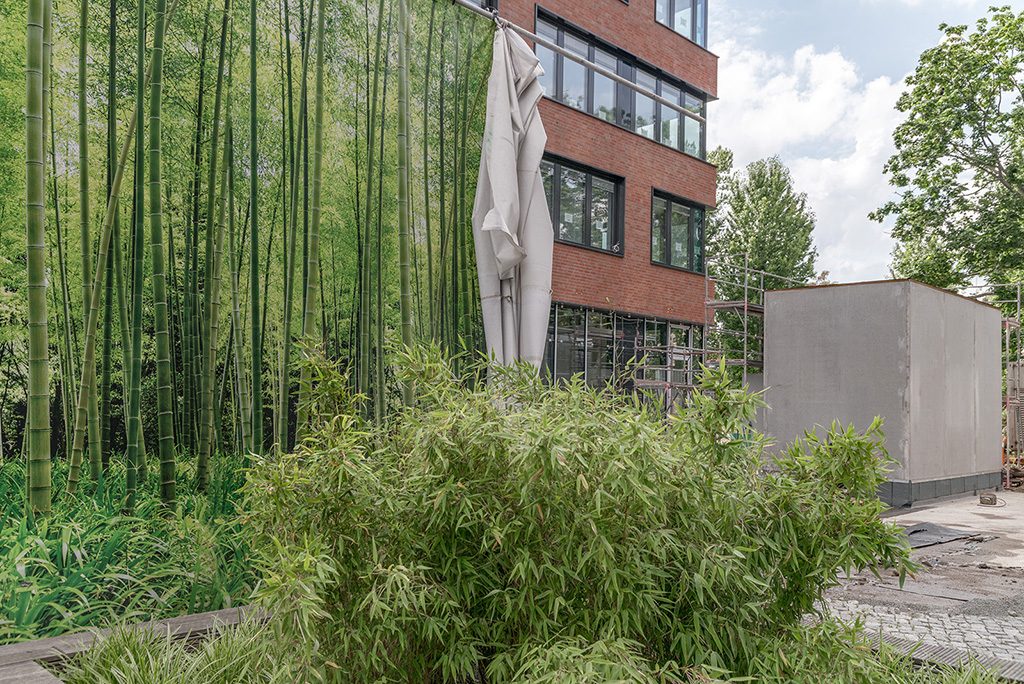 the-moment-you-realize-it-image-by-markus-lehr