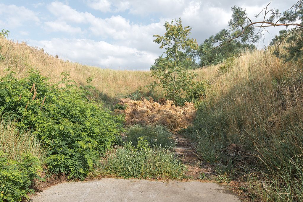 the-moment-you-realize-it-#7-image-by-markus-lehr