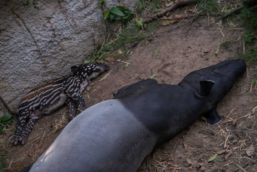 the-moment-you-realize-it-#10-image-by-markus-lehr