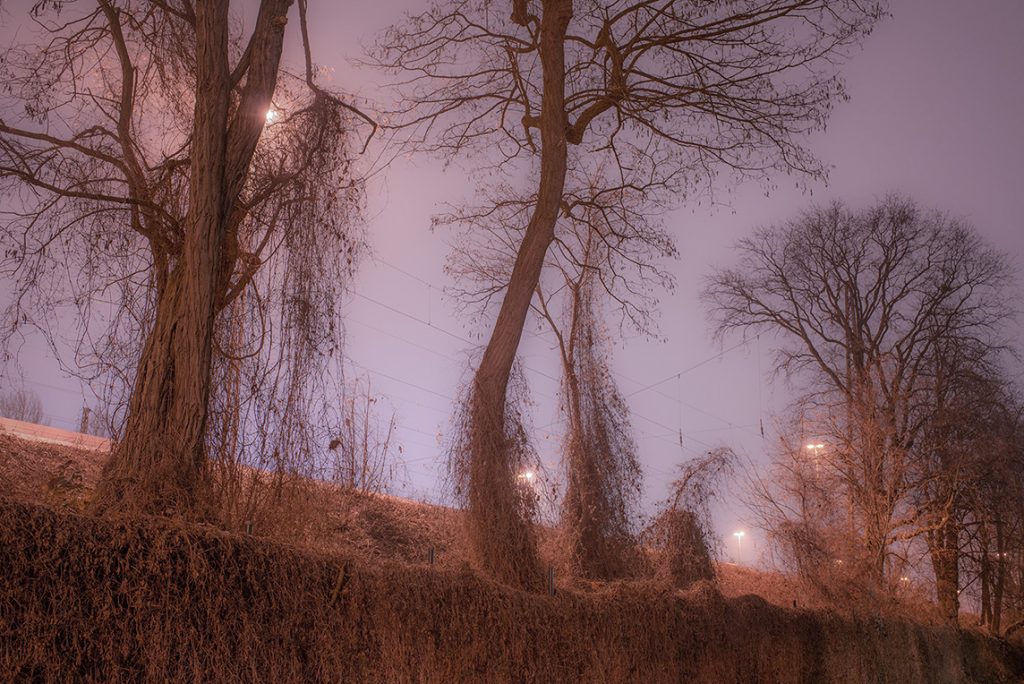 dancers-talkers-and-other-tree-people-image-by-markus-lehr