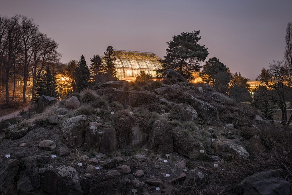 the-tiny-billboards-of-my-heart-image-by-markus-lehr