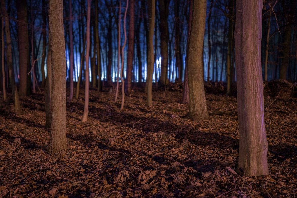 the-light-that-was-there-image-by-markus-lehr