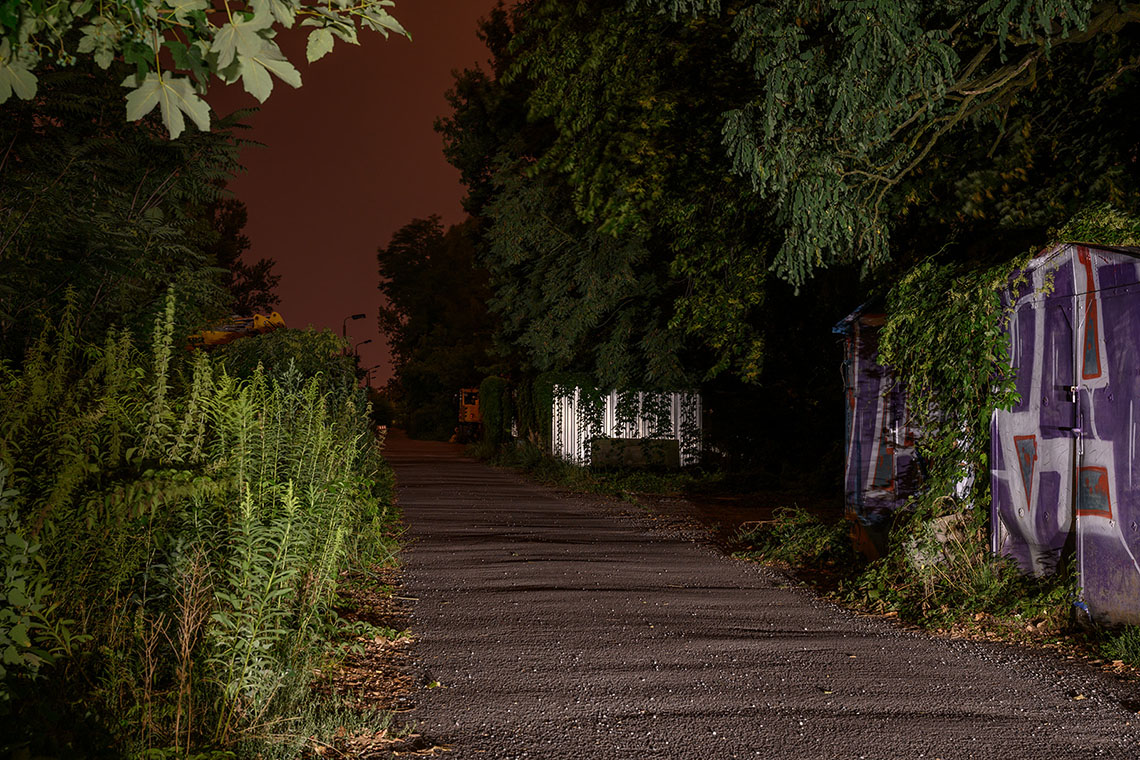 And you know how jealous green can be, Image by Markus Lehr