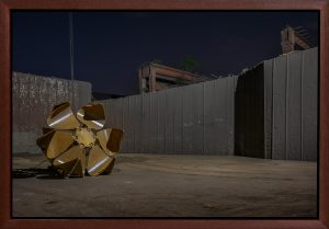 Flower, Duisburg, Germany